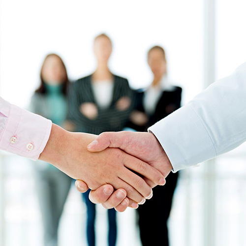 Close-up of business people shaking hands.